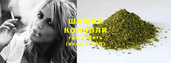 ПСИЛОЦИБИНОВЫЕ ГРИБЫ Верея