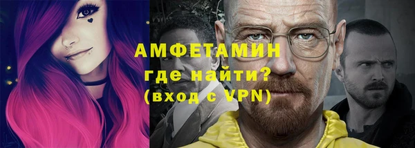 крисы Бронницы