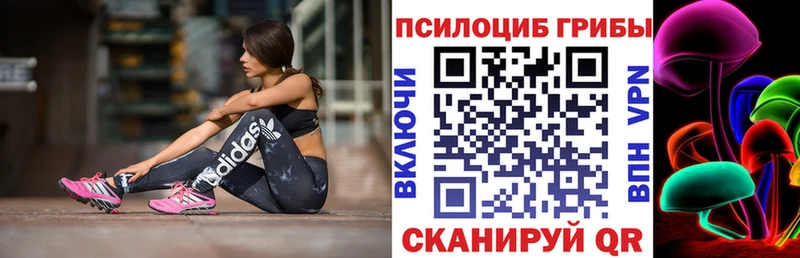 где найти   Тюмень  блэк спрут маркетплейс  Галлюциногенные грибы MAGIC MUSHROOMS 